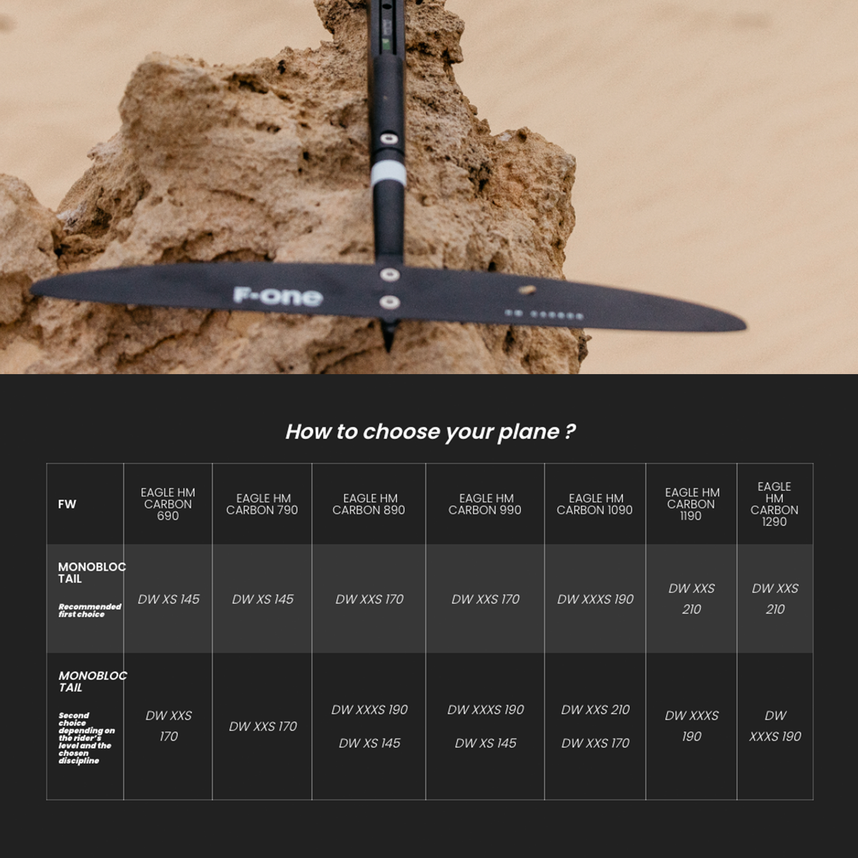 Eagle HM Carbon Front Wing