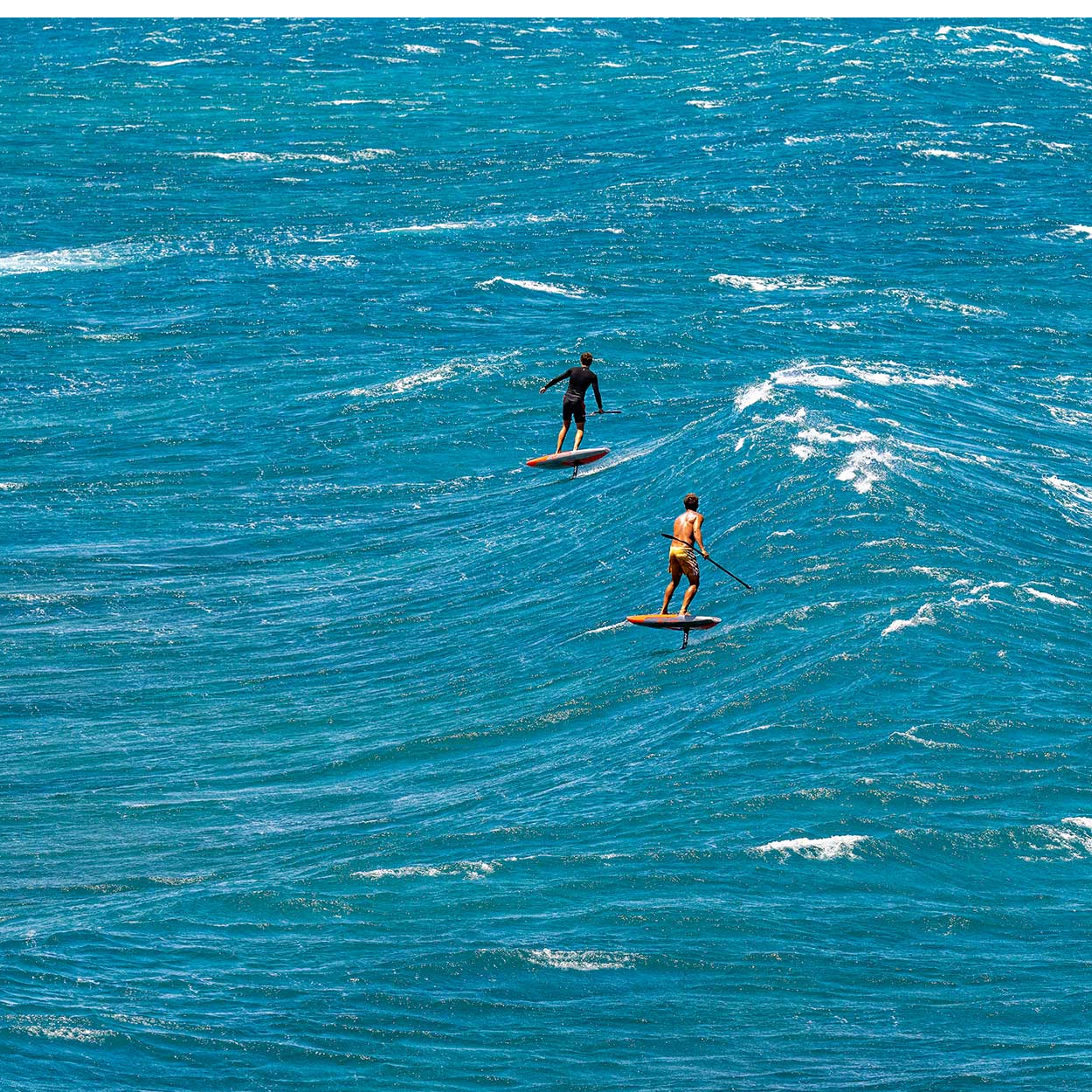 Ginxu Dragonfly Crossing 2 Carbon
