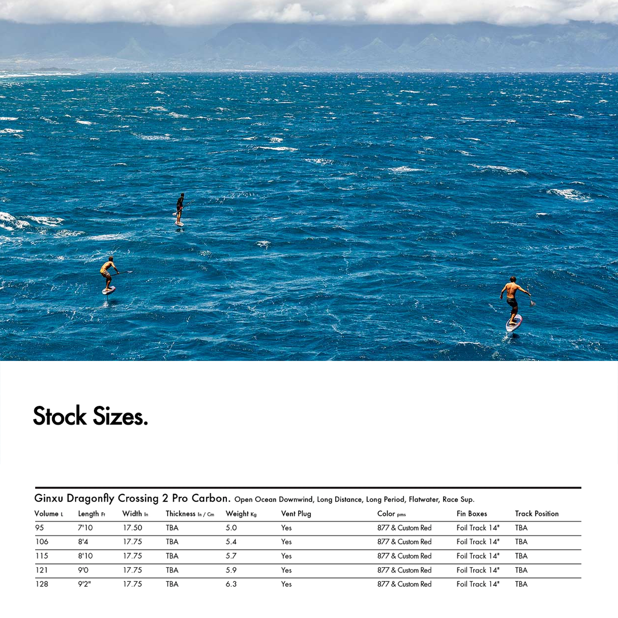 Ginxu Dragonfly Crossing 2 Carbon