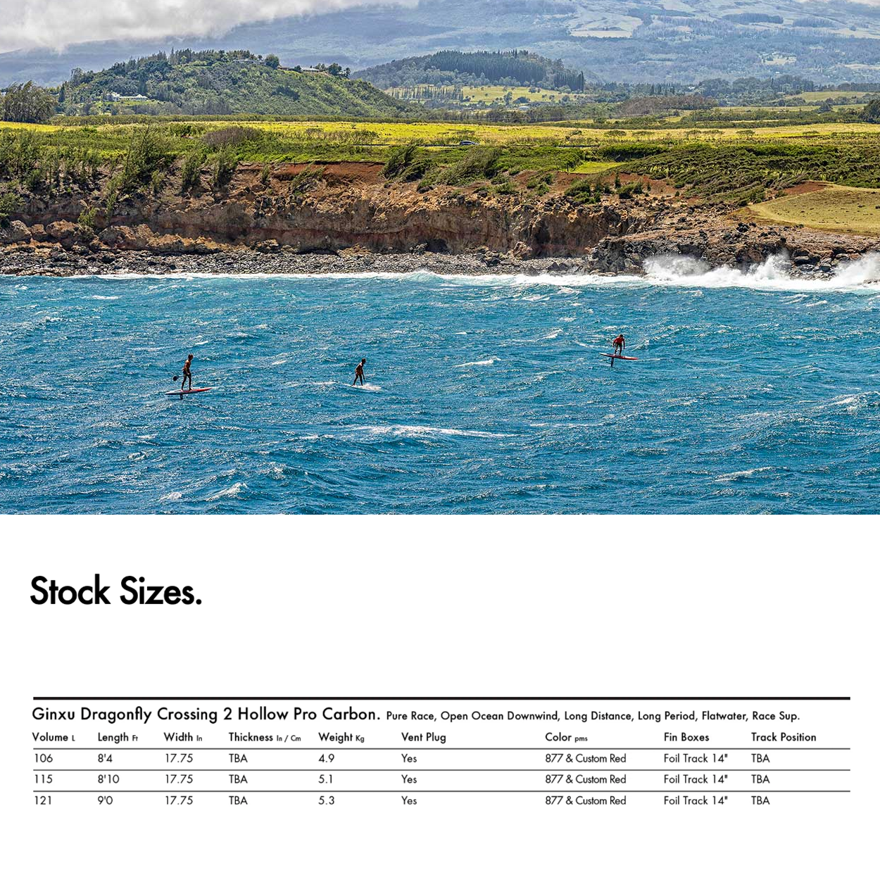 Ginxu Dragonfly Crossing 2 Hollow Pro Carbon